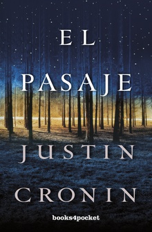 El pasaje